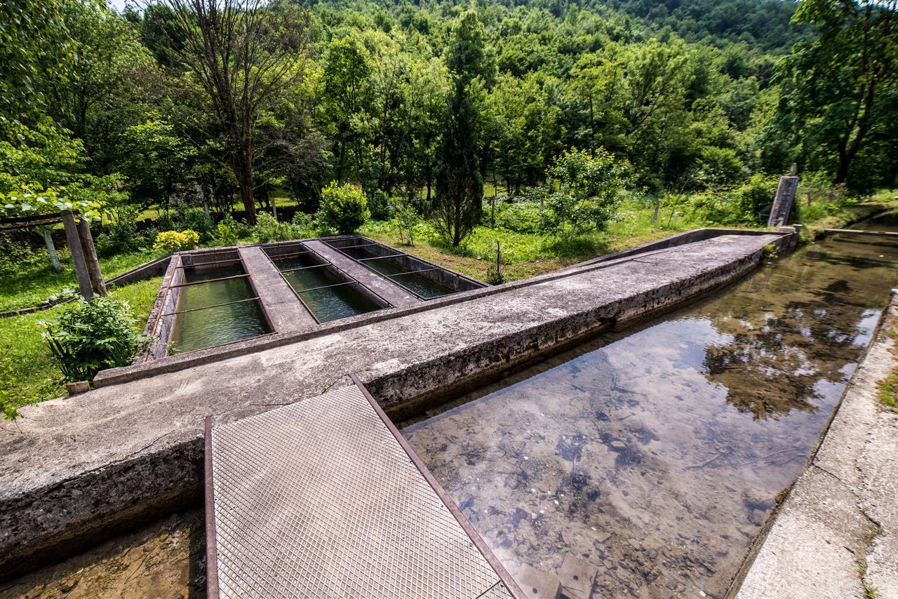 Eko House Dobrenica Villa Bihać Exteriör bild