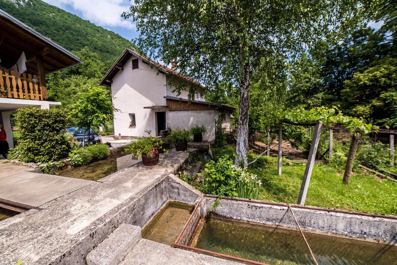 Eko House Dobrenica Villa Bihać Exteriör bild